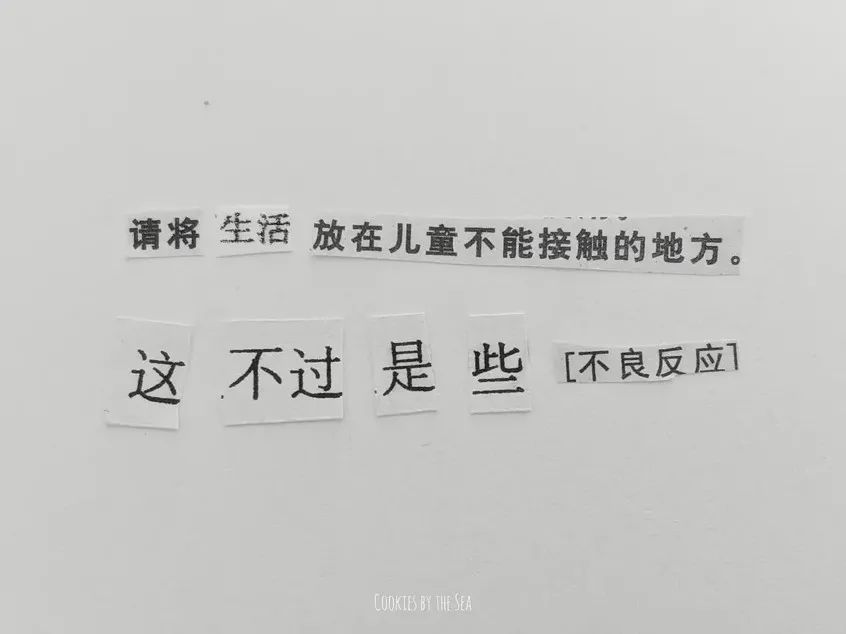 詩歌生成器手機版_dede 生成手機版插件_我的世界手機版如何生成末影龍
